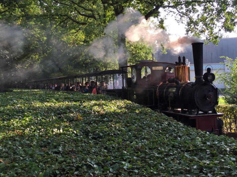 Stoomtrein Moortje rijdt als tweede locomotief weer rond in attractiepark De Efteling. (Foto: Rob Dammers)