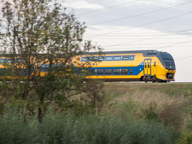 NS en ProRail brengen natuur op en rond stations in kaart - Treinenweb