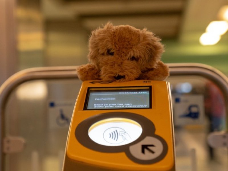 Puppy Fluffy wil graag weer kwispelend in de armen springen van zijn of haar baasje. (Foto: NS)